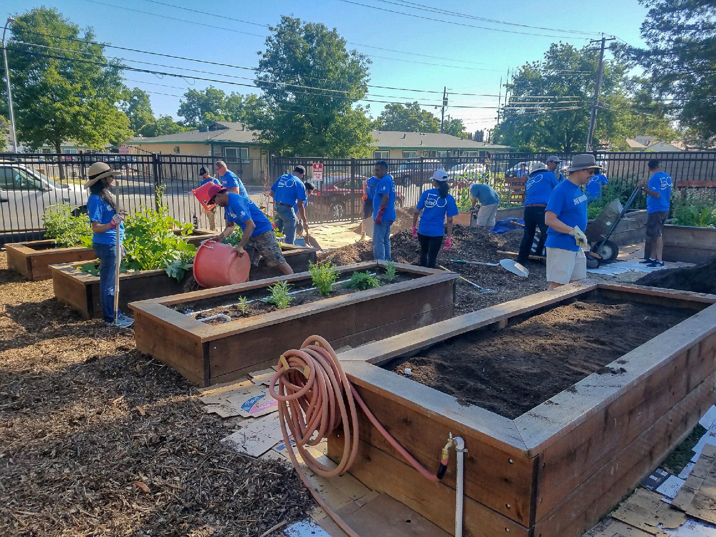 Growing our Community Garden